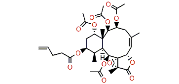 Briaexcavatin D